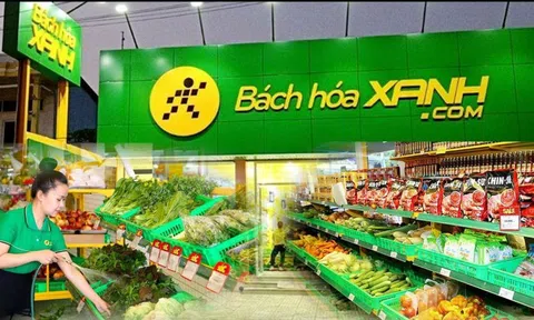 Bách Hóa Xanh mở mới hơn 400 cửa hàng từ đầu năm, quy mô hệ thống lập kỷ lục