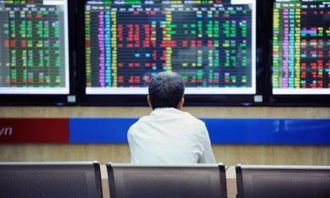 Chuyên gia chứng khoán nói gì về việc NHNN hút tiền trở lại qua tín phiếu sau 4 tháng tạm dừng?