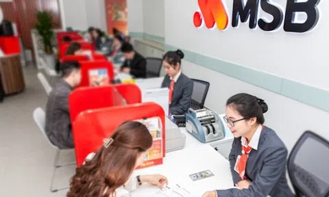 Một công ty Nhà nước chưa thể thoái vốn tại MSB