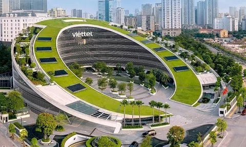 Lãi kỷ lục, công ty "họ" Viettel chốt ngày trả cổ tức 15% bằng tiền mặt