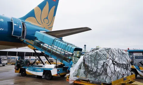 Vietnam Airlines lên kế hoạch thành lập hãng hàng không vận tải hàng hóa