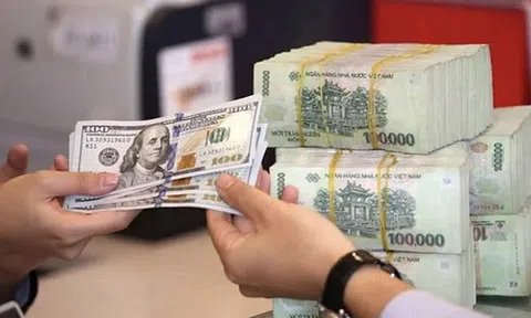 Chuyên gia: Kho bạc đã mua gần 1,9 tỷ USD từ đầu năm, tiền Đồng chịu áp lực mất giá nhưng vẫn trong tầm kiểm soát của Ngân hàng Nhà nước