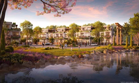 Baia Retreat Hội Vân – Mảnh ghép hoàn hảo trong bức tranh du lịch khám phá Bình Định
