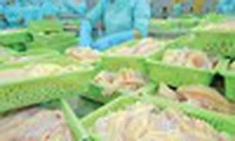 Cổ phiếu cần quan tâm ngày 27/6