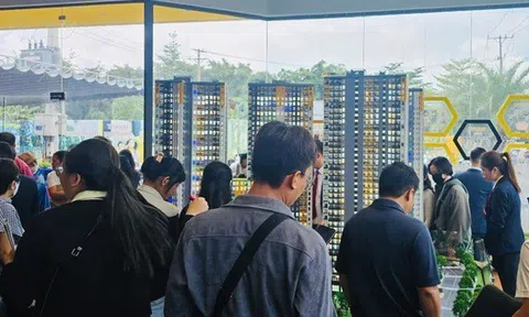 Doanh nghiệp bất động sản tại Bình Dương, Bà Rịa – Vũng Tàu có động thái mới khi sáp nhập vào TPHCM
