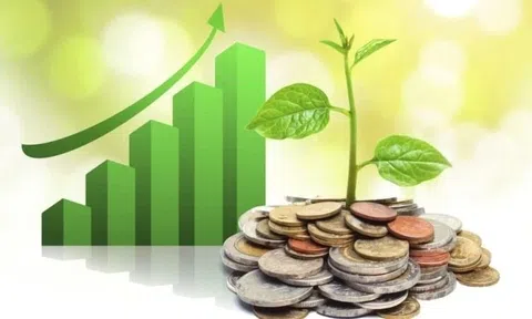 Lịch chốt quyền cổ tức 30/6-4/7: Cổ tức tiền mặt cao nhất 30%, một tên tuổi chi gần 4.000 tỷ đồng trả cổ tức