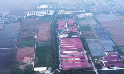 Dabaco được chấp thuận đầu tư dự án Cụm công nghiệp Lạc Vệ tại Bắc Ninh