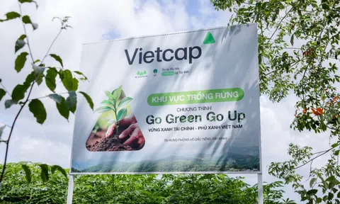 Vietcap trao tặng 6.000 cây tại rừng phòng hộ dầu tiếng