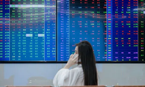 Gần 200.000 tài khoản chứng khoán gia nhập thị trường trong một tháng
