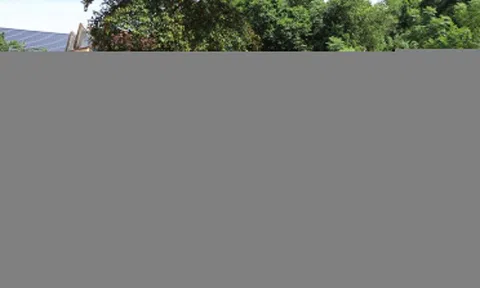 Vụ áp thuế gần 4,5 tỷ cho 300 m2 đất vườn: Sở Tài nguyên báo cáo