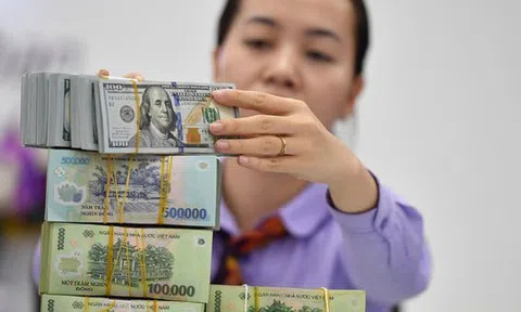 Dự báo tỷ giá USD nửa cuối năm 2025: Hai yếu tố có thể làm tăng áp lực mất giá của VND, mức tăng cả năm vào khoảng 5%