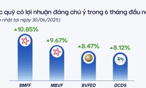 "Soi" lợi nhuận của quỹ mở 6 tháng đầu năm: Bỏ 100 triệu đồng đầu tư vào quỹ nào lãi nhất?