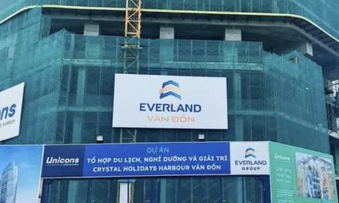 Everland bổ nhiệm một Phó Tổng Giám đốc