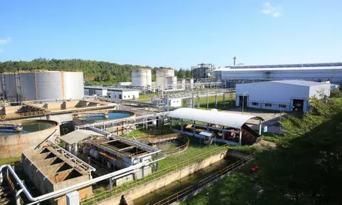 Tái khởi động nhà máy Ethanol Dung Quất để cung cấp xăng E10