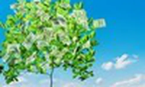 Nhận định thị trường phiên giao dịch ngày 22/7: Hạn chế bắt đáy