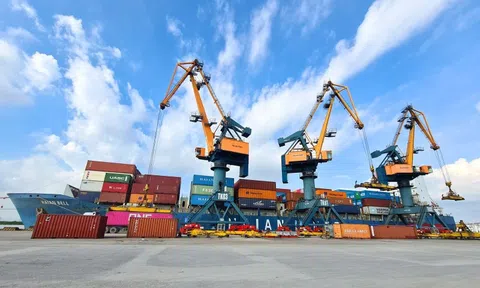 Doanh nghiệp có đội tàu container lớn nhất Việt Nam chốt quyền nhận cổ tức tổng tỷ lệ 40%