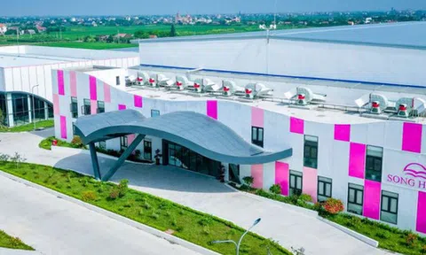 FPTS giảm sở hữu tại May Sông Hồng