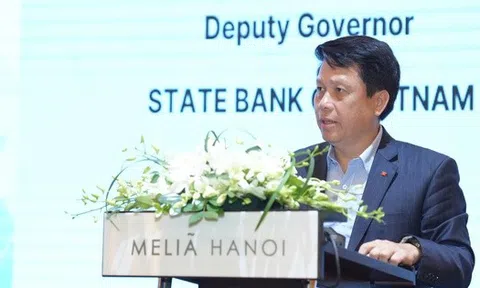 Phó Thống đốc NHNN: Indonesia có mô hình cho vay dựa trên mức độ kiên trì của khách thông qua số bước đi mỗi ngày, tần suất sử dụng điện thoại..., Việt Nam có thể tiếp cận