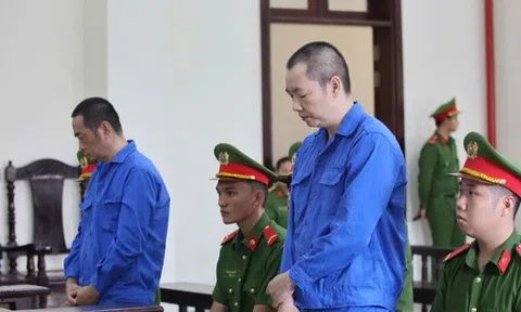 Tuyên án vụ gần 1.000 người bị lừa đảo liên quan bất động sản