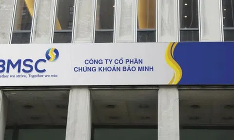 Nhóm doanh nghiệp dự chi hàng trăm tỷ mua cổ phiếu của Chứng khoán Bảo Minh, họ là ai?