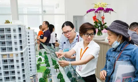 Bảng giá đất áp dụng từ đầu 2026, thị trường có biến động mạnh?