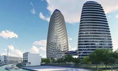 IPA muốn chào bán 50 triệu cổ phiếu riêng lẻ