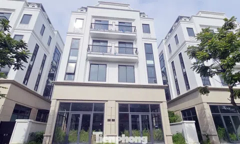 Chủ đầu tư 'đau đầu' với khu biệt thự, liền kề triệu đô bỏ hoang, cỏ dại mọc um tùm giữa Thủ đô