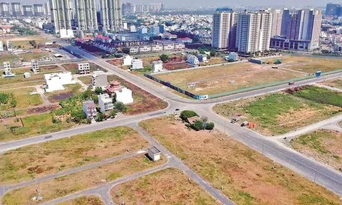 Ninh Bình đấu giá khu đất 8.000 m2 nằm giáp Bệnh viện Việt Đức 2