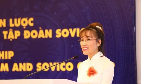 Tổng tài sản Tập đoàn Sovico đạt gần 230.000 tỷ đồng, các mảng kinh doanh đều tăng trưởng