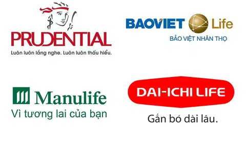 Công ty bảo hiểm nhân thọ nào đang đổ nhiều tiền nhất vào chứng khoán?