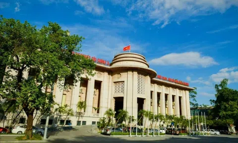 NHNN hút ròng trên thị trường mở, lãi suất liên ngân hàng giảm ở tất cả các kỳ hạn dưới 1 tháng