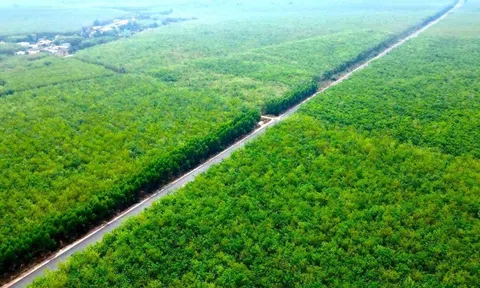 Chốt hạn về đích 2 tuyến đường kết nối trọng điểm phía Nam