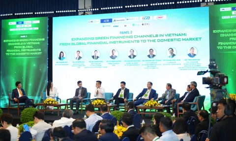 "Một con tôm xuất khẩu sang Mỹ phải chịu tới 4 loại thuế, chưa kể rào cản phi thuế quan xanh"