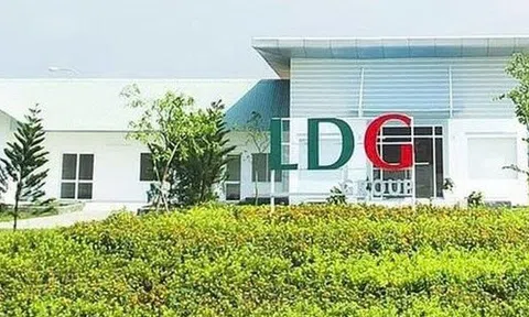 Cổ phiếu LDG tiếp tục nằm trong diện kiểm soát