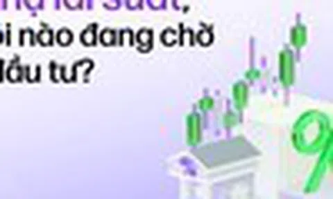 Fed hạ lãi suất, cơ hội nào đang chờ nhà đầu tư?