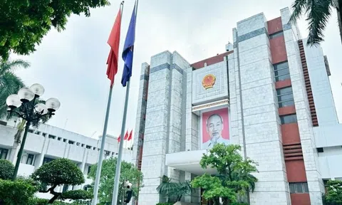 Hà Nội: Người đứng đầu chịu trách nhiệm với gói thầu có tỷ lệ tiết kiệm thấp