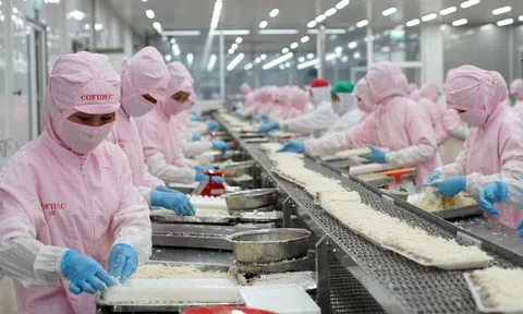 COFIDEC xanh hóa sản xuất, vươn tầm thủy sản Việt