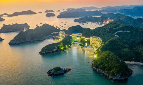 Flamingo Cát Bà Resorts xác lập vị thế top đầu qua hiệu suất lấp đầy ấn tượng