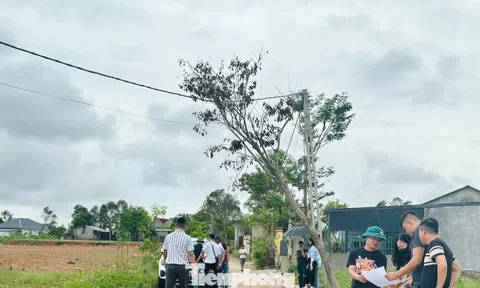 'Thổi giá', gom đất, phân lô bán nền tràn lan sau công bố quy hoạch