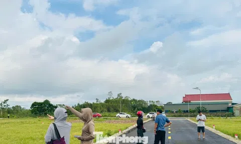 Hà Tĩnh siết quản lý môi giới, xử lý tình trạng “sốt đất ảo” vùng nông thôn