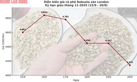 Giá cà phê hôm nay 20-9: Chốt tuần sụp mạnh