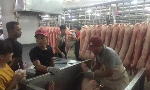 Tin tức giá heo hơi ngày 16-10: Heo "xấu" rớt giá chỉ còn 45.000 đồng/kg