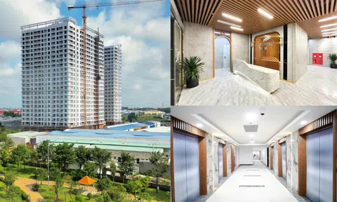 Chung cư Benhill: Tăng tốc tiến độ, sẵn sàng bàn giao cuối năm