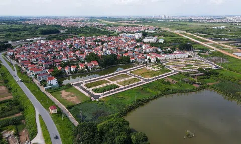 Đề xuất người bỏ cọc bị cấm đấu giá đất đến 5 năm