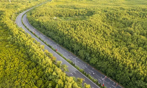 TP.HCM lập hội đồng thẩm định dự án metro 350 km/h nối Cần Giờ