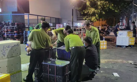 “Kho chim” bí ẩn gần sân bay: Phát hiện 500 con cu ngói không giấy tờ