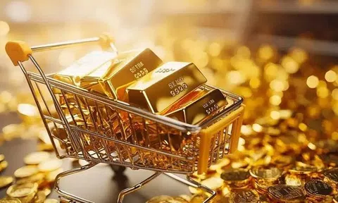 Vì sao giá vàng rớt mạnh trong đêm 21/10?