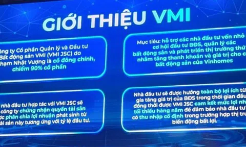 Tỷ phú Phạm Nhật Vượng sáp nhập Bất động sản Hưng Long vào VinSpeed