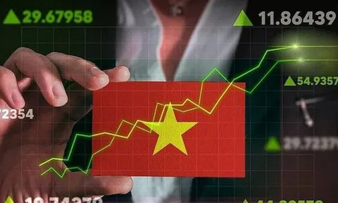 Chưa từng có: Nhóm chứng khoán xác lập kỷ lục 19.000 tỷ lợi nhuận trước thuế trong quý 3