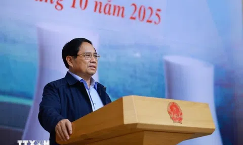 Thủ tướng chỉ đạo sớm hoàn tất đàm phán với Nga, Nhật Bản về xây dựng nhà máy điện hạt nhân